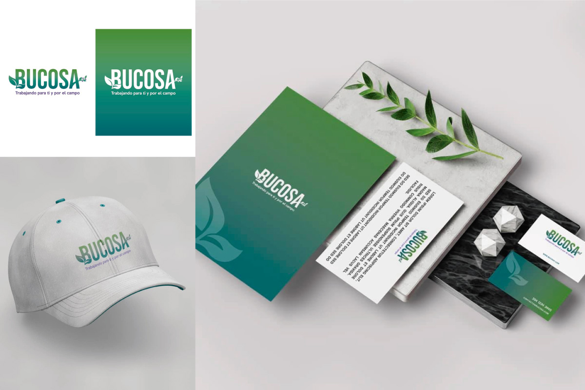 Portfolio 3